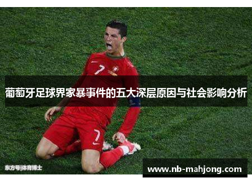 葡萄牙足球界家暴事件的五大深层原因与社会影响分析