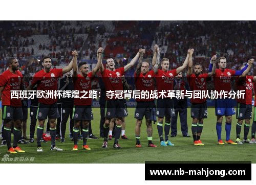 西班牙欧洲杯辉煌之路：夺冠背后的战术革新与团队协作分析