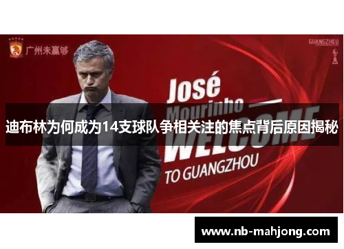 迪布林为何成为14支球队争相关注的焦点背后原因揭秘