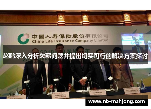 赵鹏深入分析欠薪问题并提出切实可行的解决方案探讨