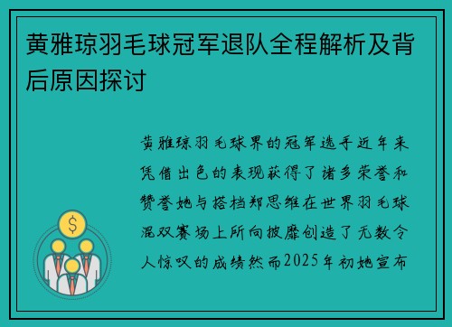 黄雅琼羽毛球冠军退队全程解析及背后原因探讨